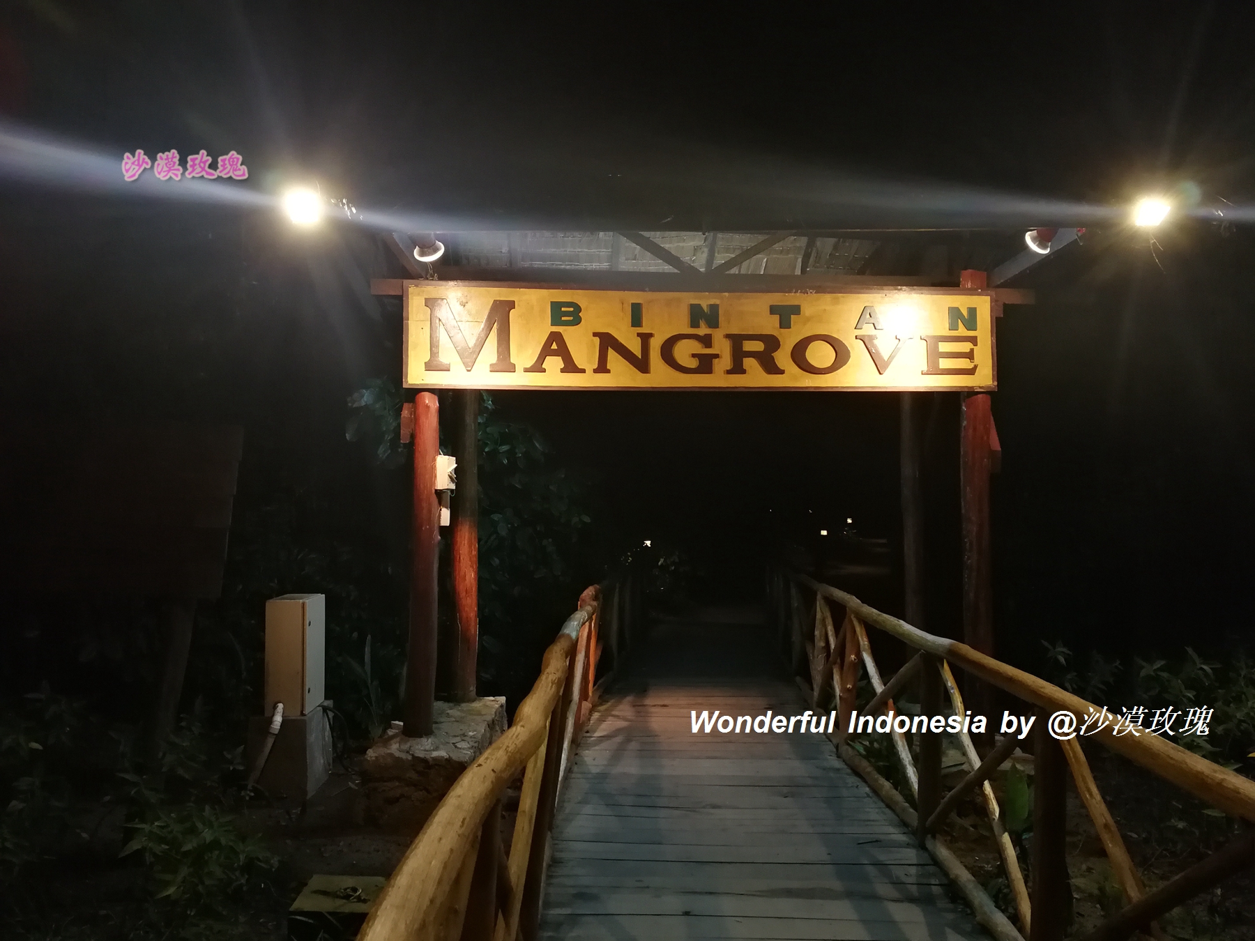 印尼跟团游深度探索当地人文风情,印尼朝圣之旅