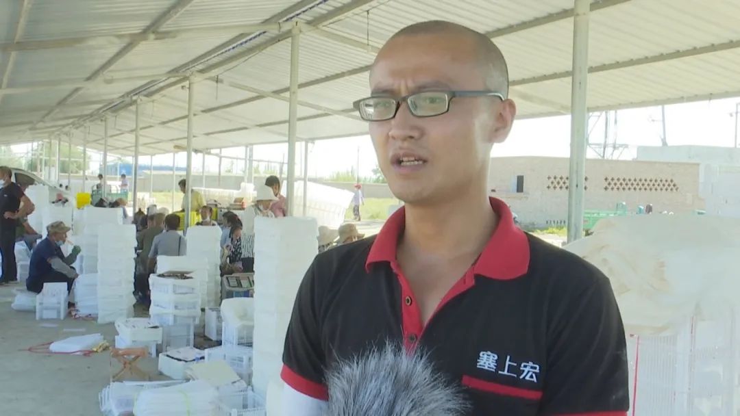 凤凰桥树莓采摘,春天到树莓采摘