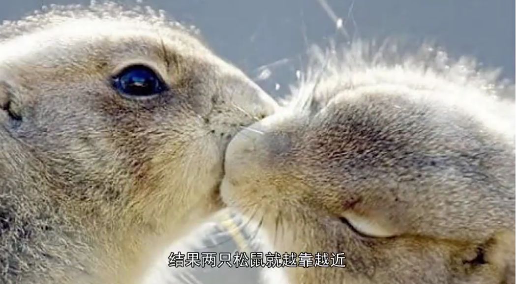 冷知识10个颠覆你认知的日本文 (古代100个绝对颠覆你认知的冷知识)