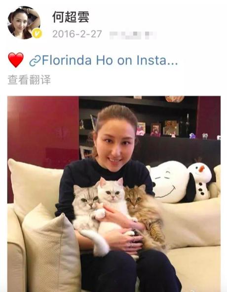 陈婉珍从护工到赌王三太太,赌王三太陈婉珍怎么上位的