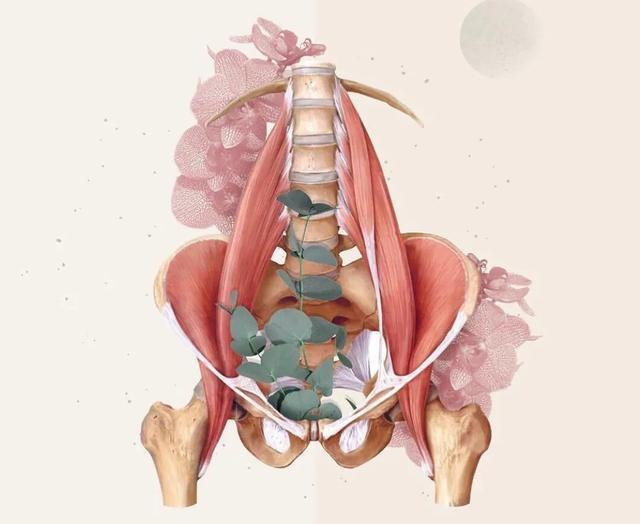 武磊在哪个西班牙队,武磊在西班牙人是主力前锋吗