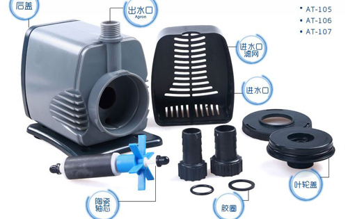 新手客厅鱼缸怎么养鱼,鱼缸养鱼新手入门教程