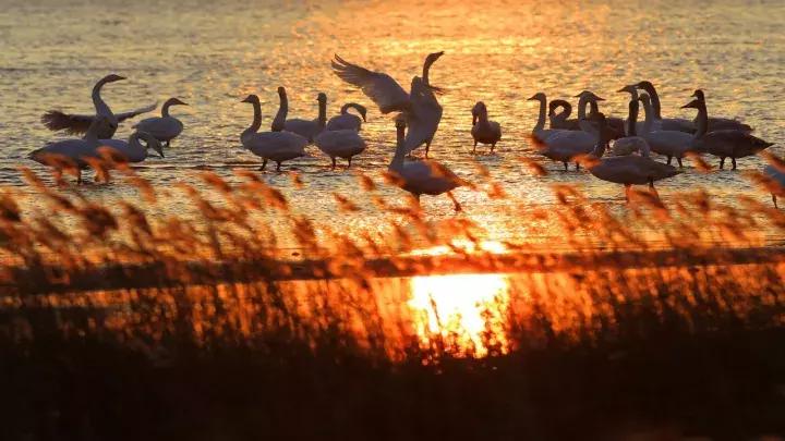 威海60岁免费景点,威海十大网红免费景点