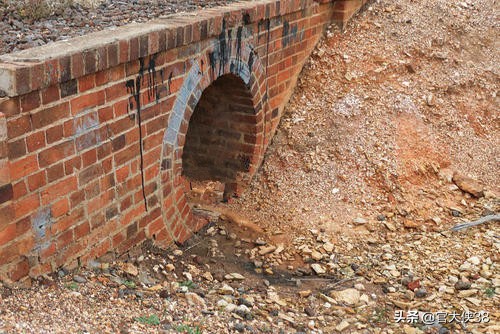 小的时候，有一次掏阴沟，居然有意外的发现，收获颇丰，大快朵颐