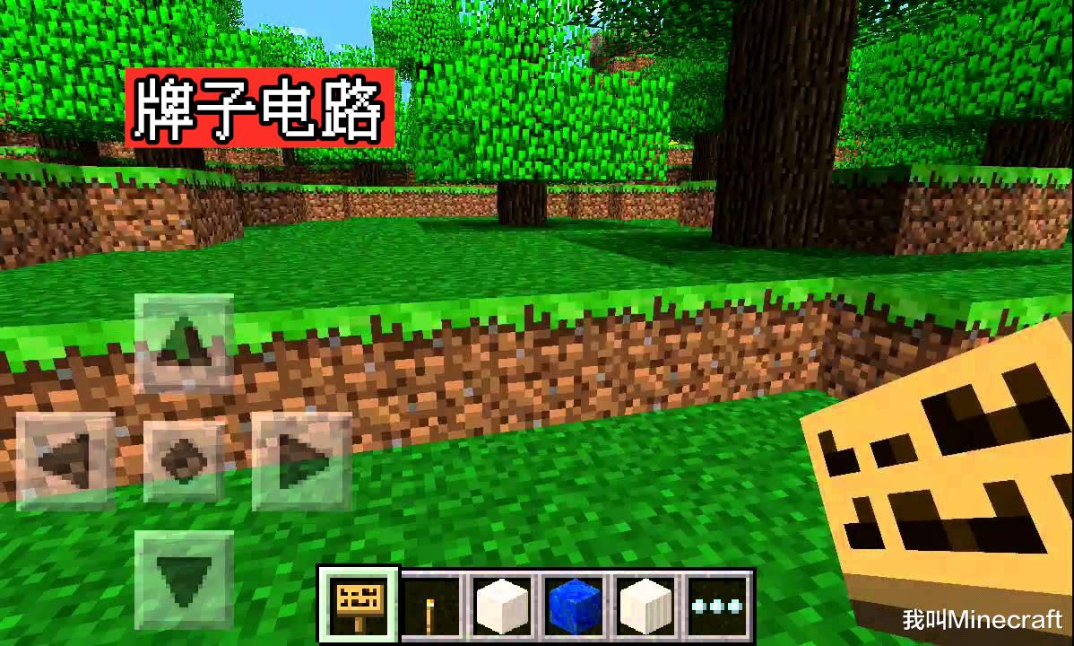 我的世界1.19版本史蒂夫样子,我的世界pe老版本