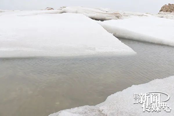 壮观的北极峡湾,壮观冰雪世界