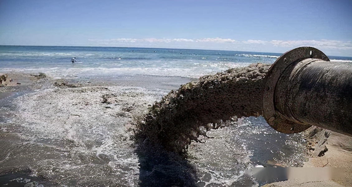 日本海岸现大量鱼尸体,日本海滩惊现大量乌贼尸体