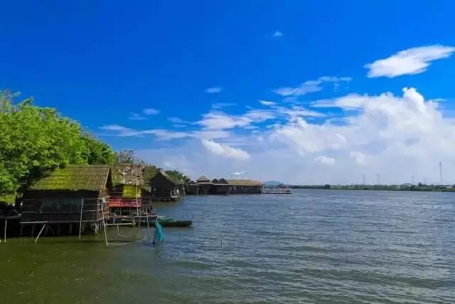 广州小岛旅游,广州周边小岛游