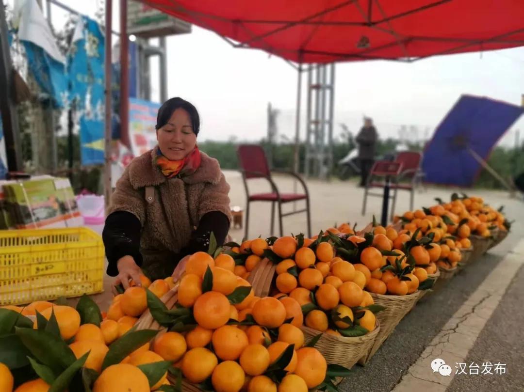 乡村振兴电商营销,乡村振兴战略电商助农