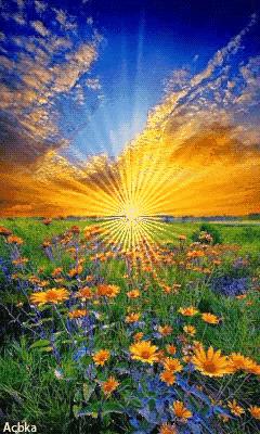 我决定我不再庸人自扰了经典语录,我决定不再前行的歌词