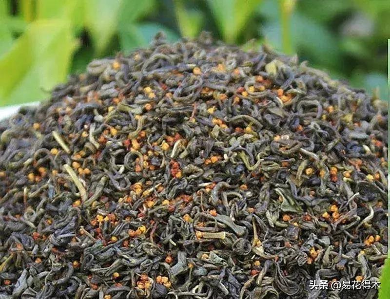 黄珠兰和白珠兰的区别,白珠兰和黄珠兰的区别