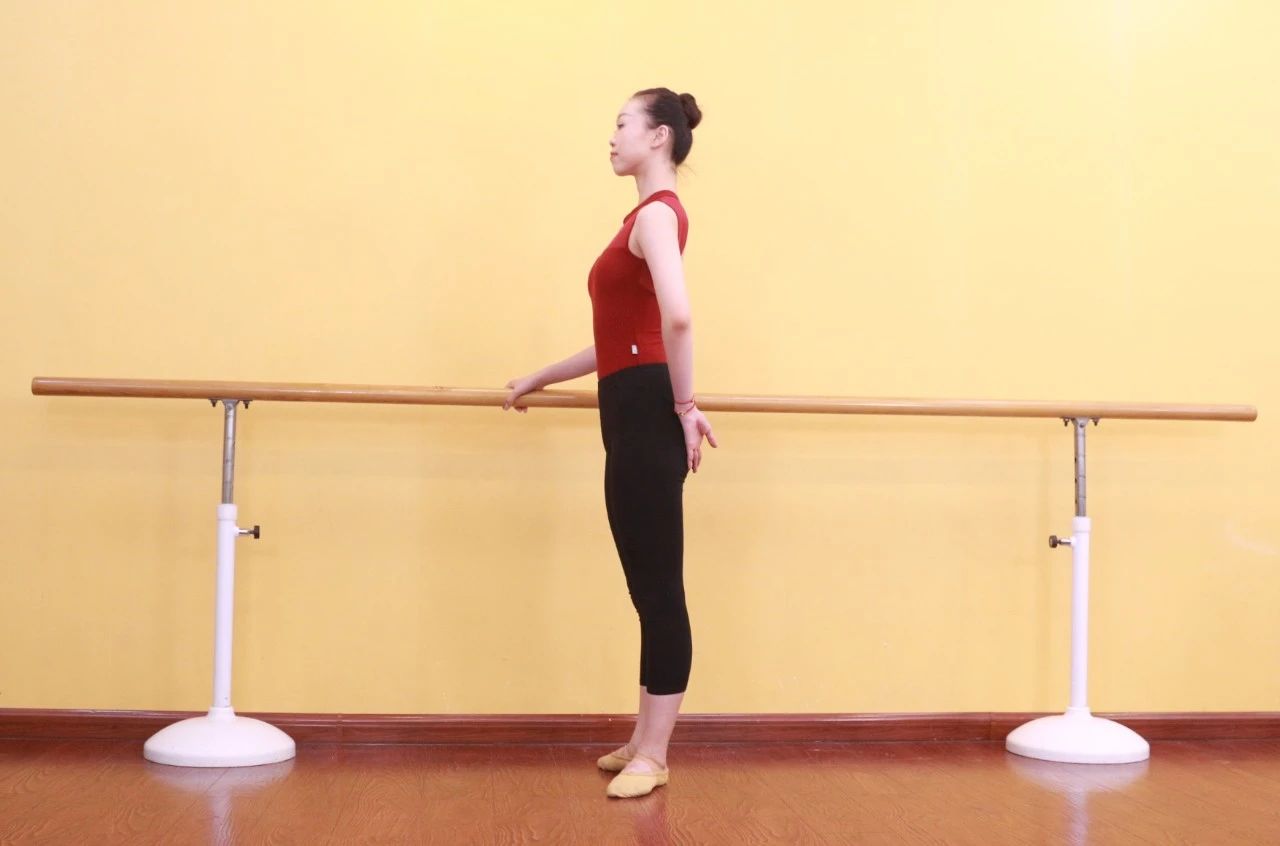 艾莎芭蕾舞5岁视频教学,艾莎同学舞蹈动作