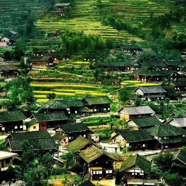 秋天最值得去的四个地方,秋天全部的风景