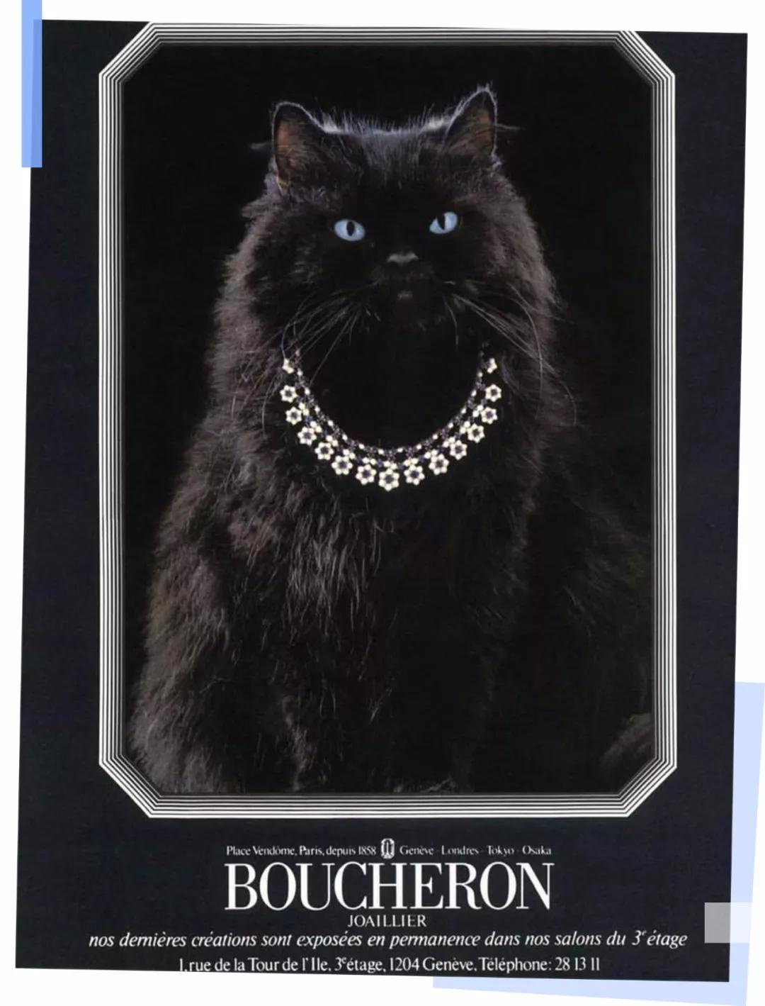 郑爽落榜！杨幂靠后！这场珠宝大战谁赢了？