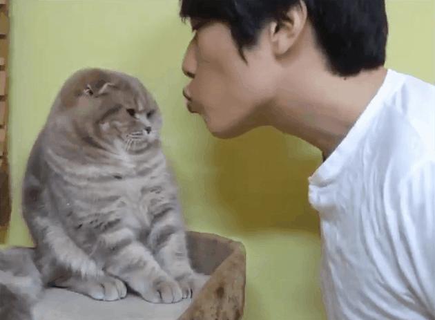 猫咪老是舔猫是嫌弃自己太脏了吗,假舌头舔猫咪的时候猫怎么想的