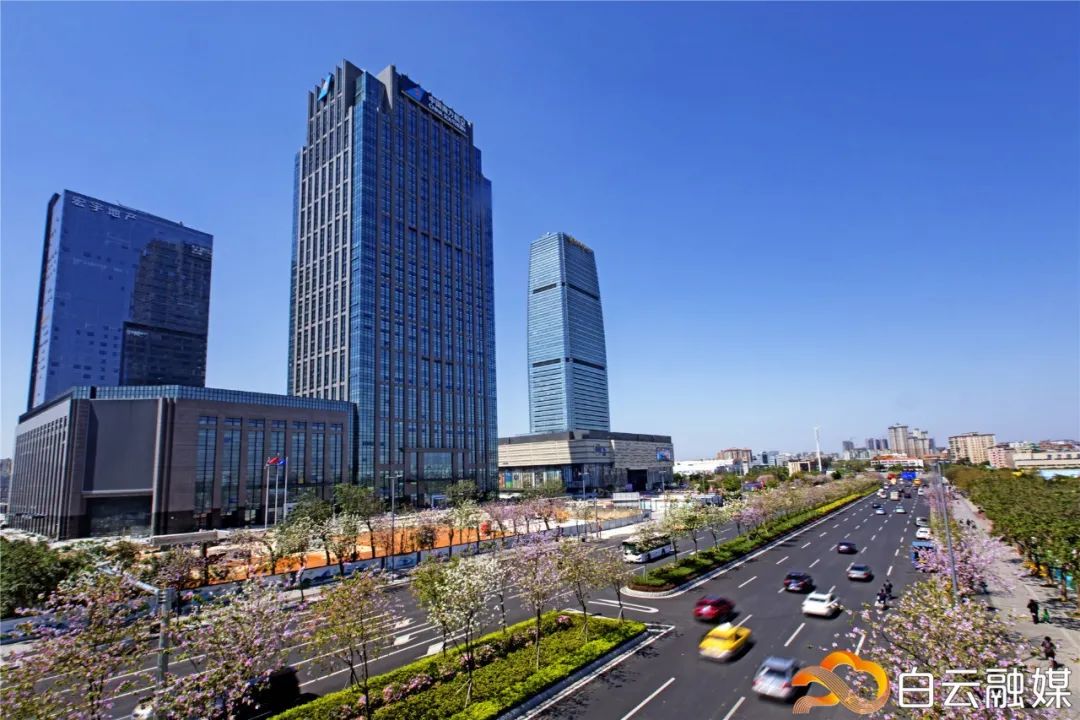 白云区好的初中排名榜,白云区成绩排名