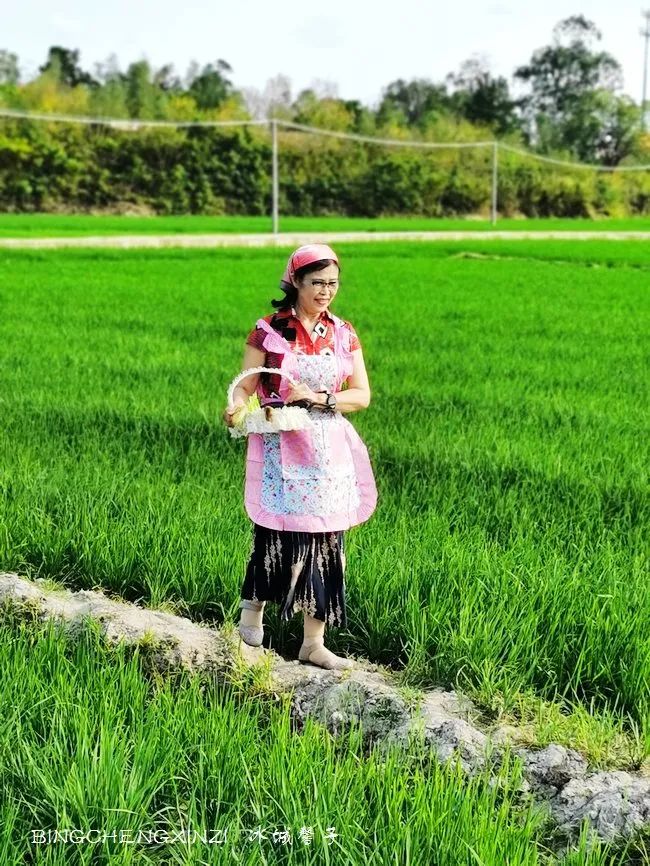 做把“村姑”，走进海南灯火灿烂的火龙果园