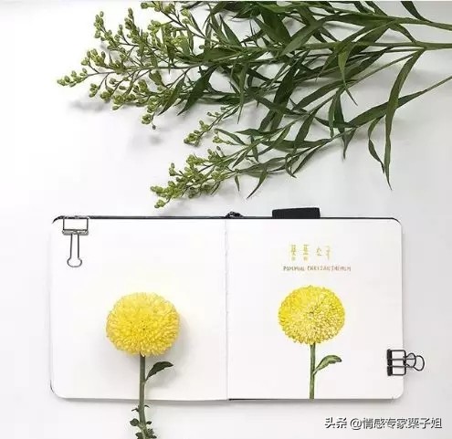 女人什么事都想着男人最后会怎样,女人心里想的和男人心里想的