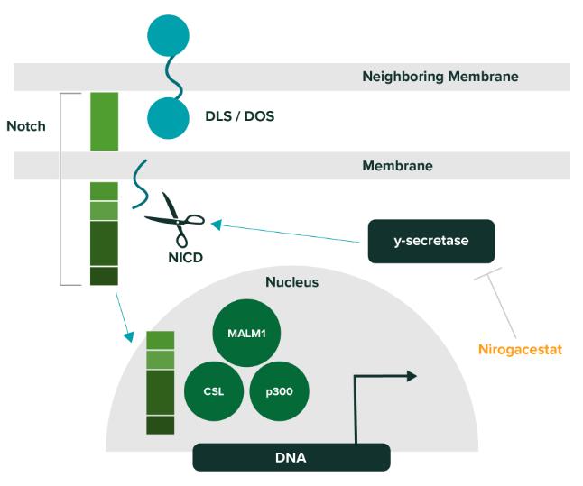 协和治乙肝新药,协和医院治疗帕金森