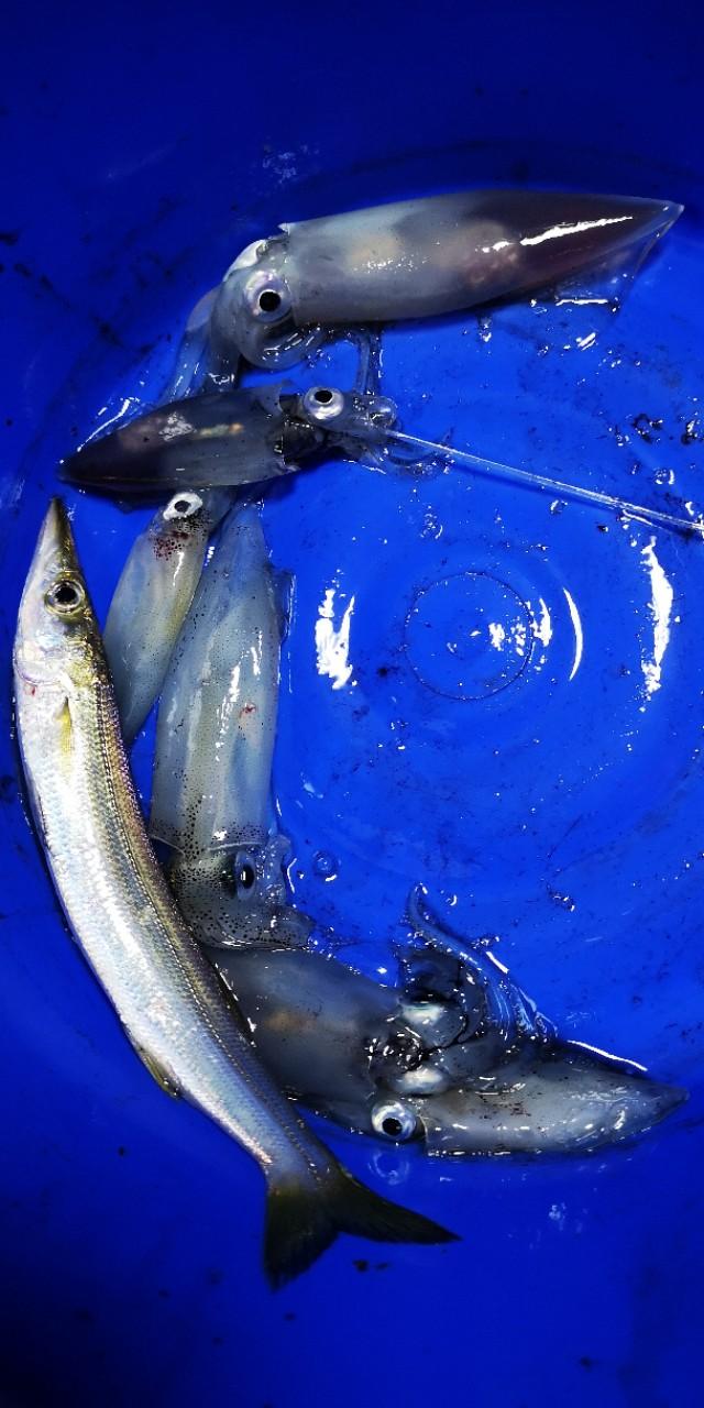 香港西贡游记下,香港最后一天去哪玩好