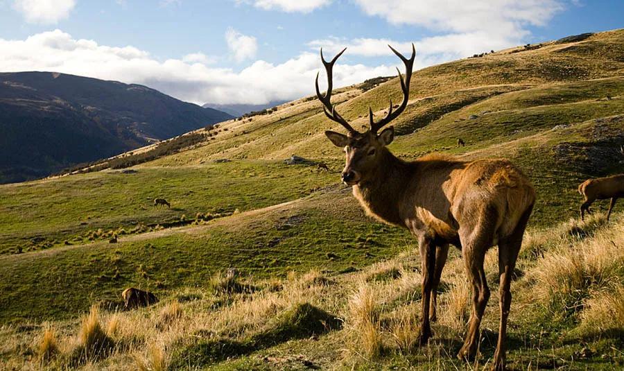 时髦精的鞋,优雅的气质潮鞋推荐好看不贵