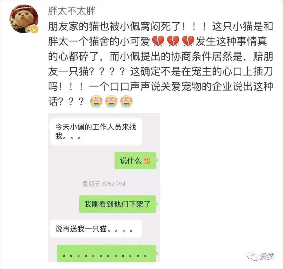 猫窝倒扣闷死猫事件,猫窝导致宠物窒息