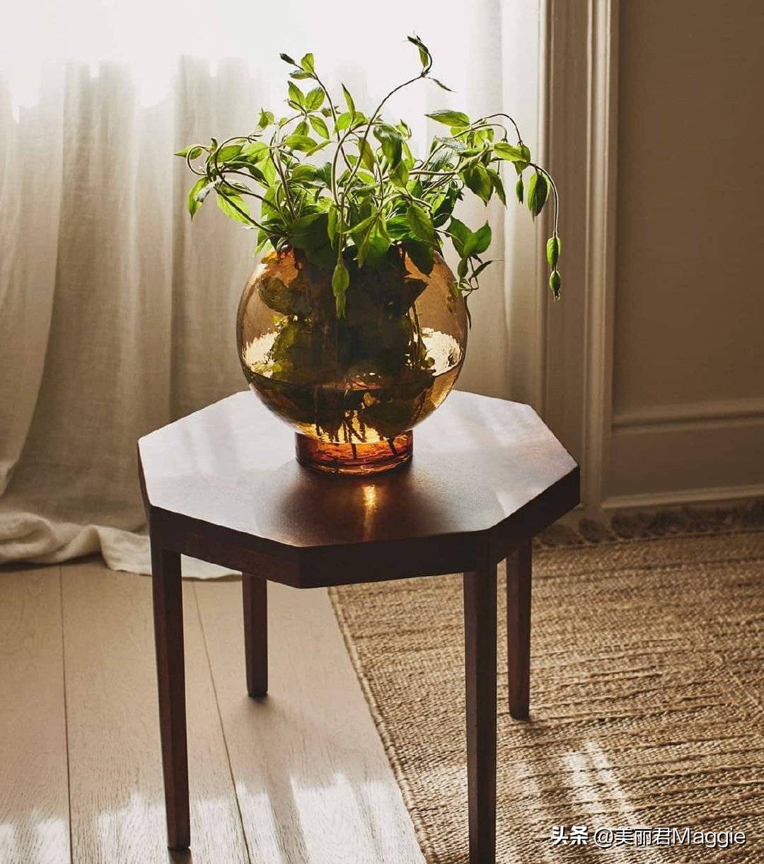 maggie缇庝附鐗╄绌胯。,maggie鐨勭編涓界墿璇皬绾功