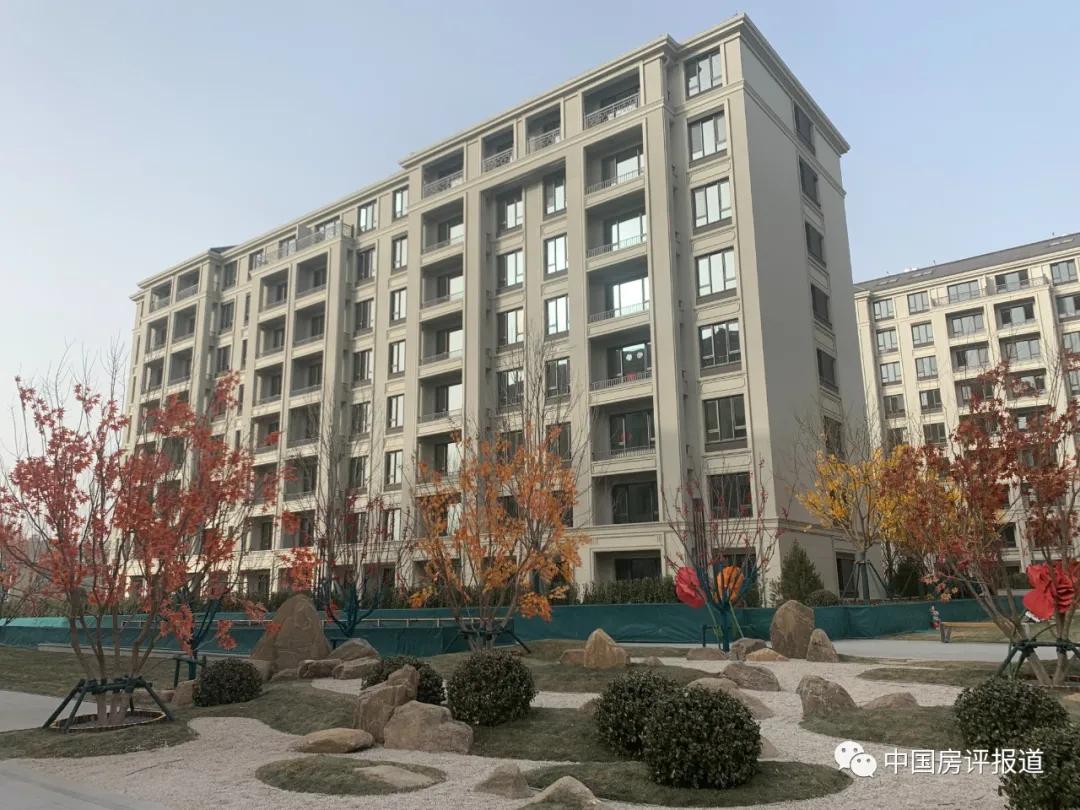 「区域测评」回访五里坨“三兄弟”：当年的flag实现了吗？