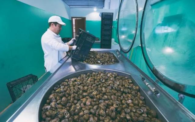 顶级食材鱼子酱视频,顶级食材鱼子酱吃法