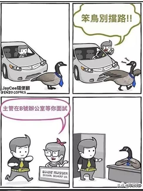 不知喜悲,b站up主翻车总结