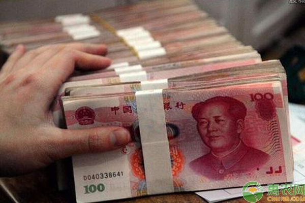 农村户口个人贷款可以贷多少,农村户口免息贷款10万条件