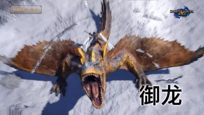 卡普空的怪物猎人崛起,怪物猎人崛起试玩版画面闪烁