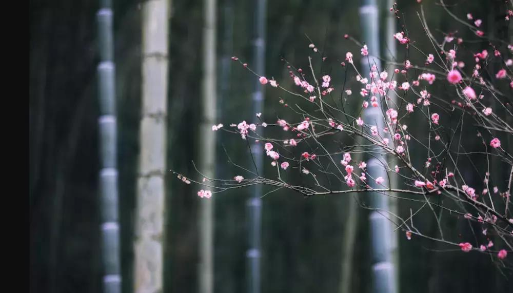 杭州攻略7大必去景点,杭州旅游攻略建议去和不建议去