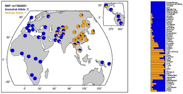 狐臭是怎么引起来的,有狐臭怎么根除大汗腺