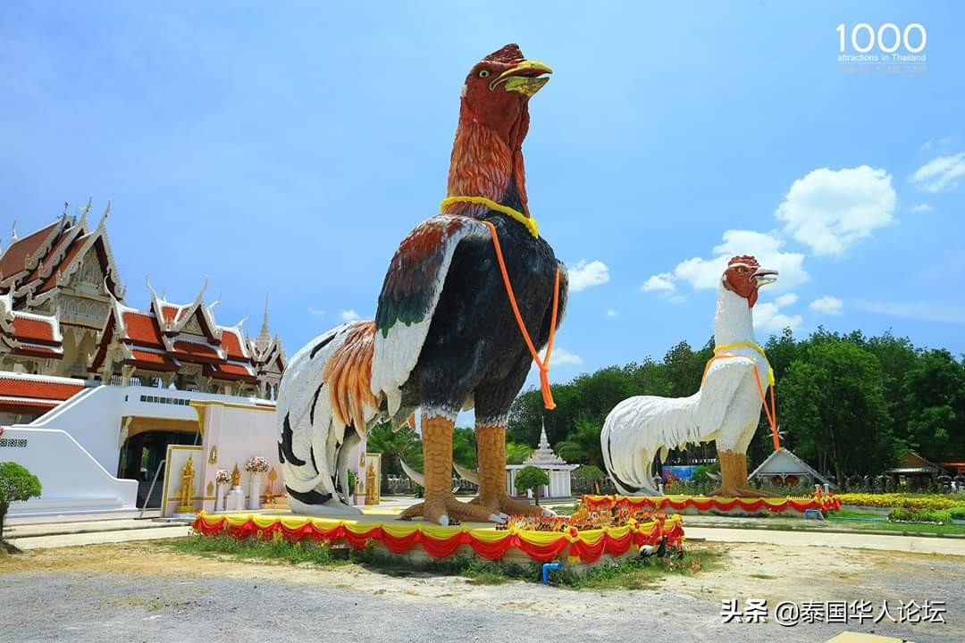 泰国古庙古曼童啥样,泰国最大的古曼童寺庙