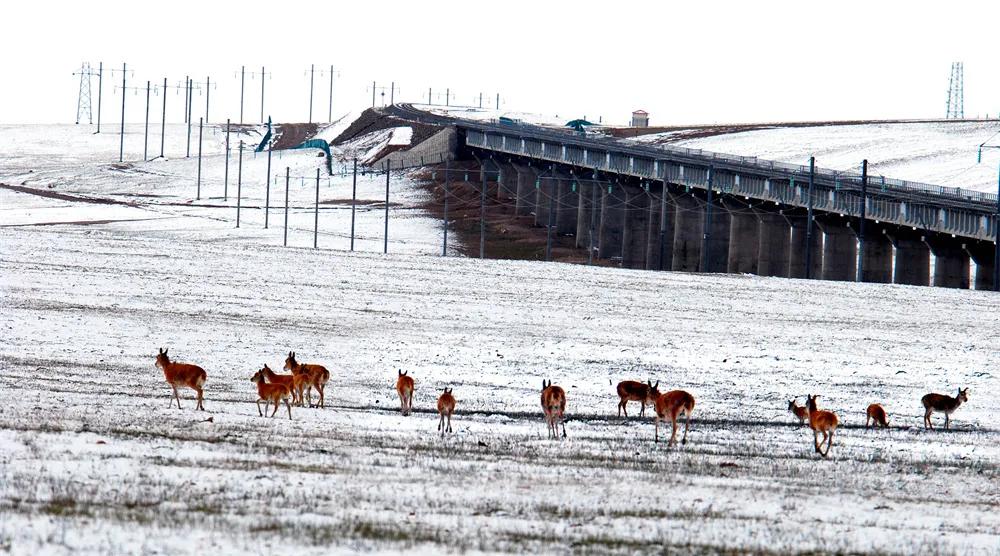 沉浸式体验动车组,体验新动车组