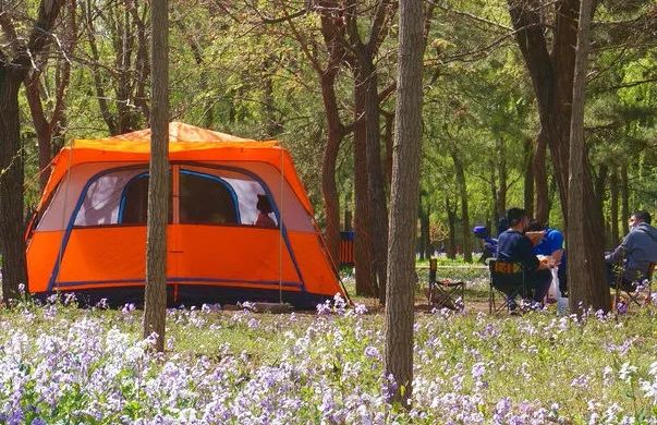 北京戒台寺郊野公园,北京燕山东岭郊野公园