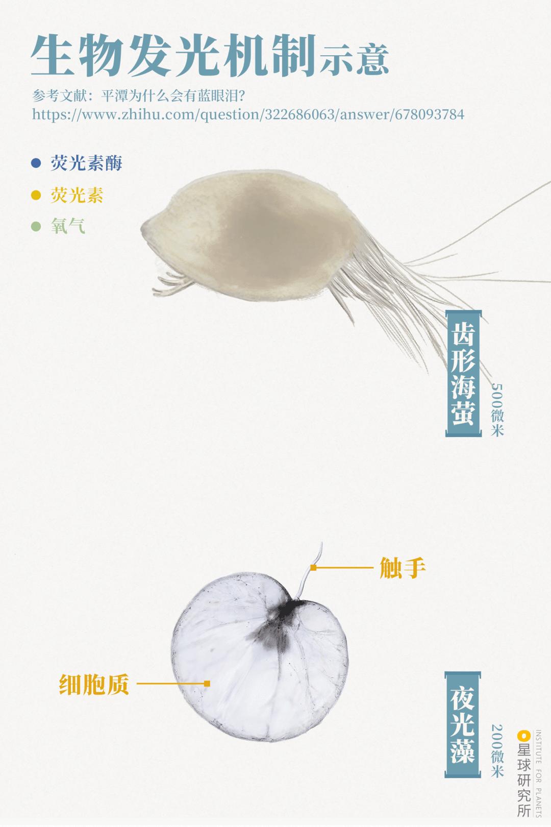 平潭在哪里租车,平潭在哪里哪个城市