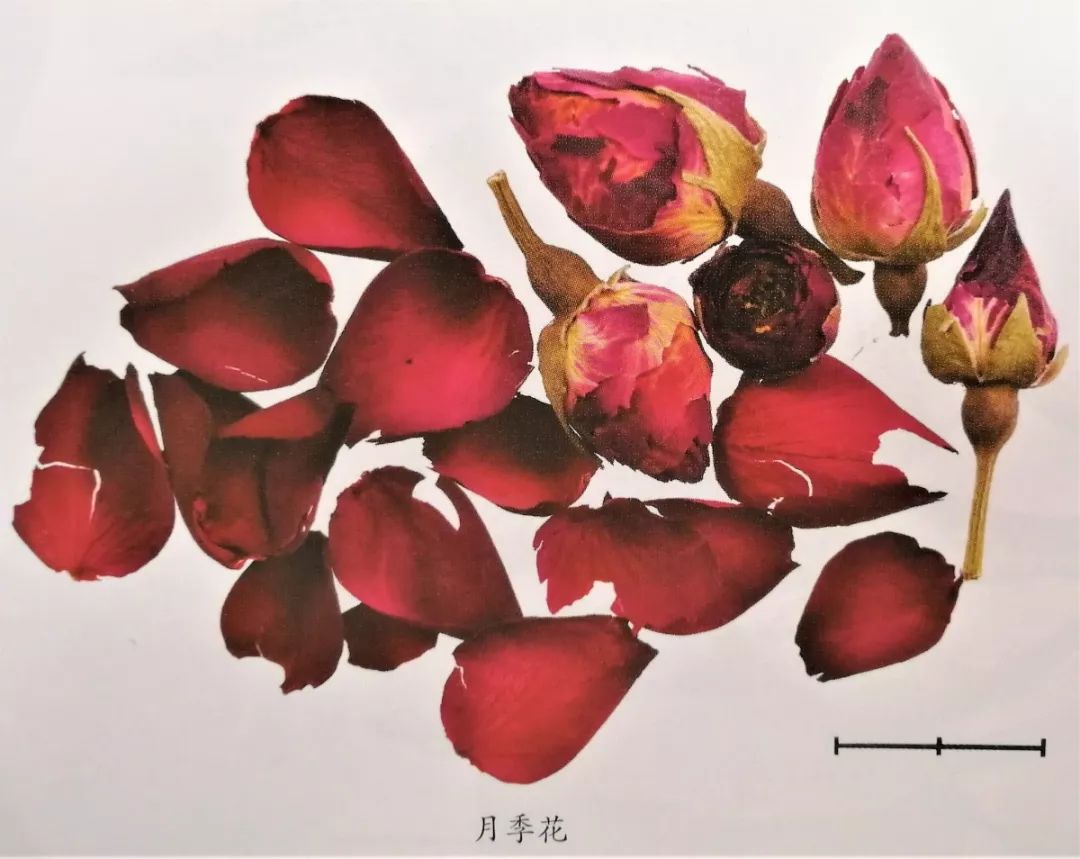 新版人民币金线错位有收藏价值吗,人民币里竟然还藏着这些小秘密