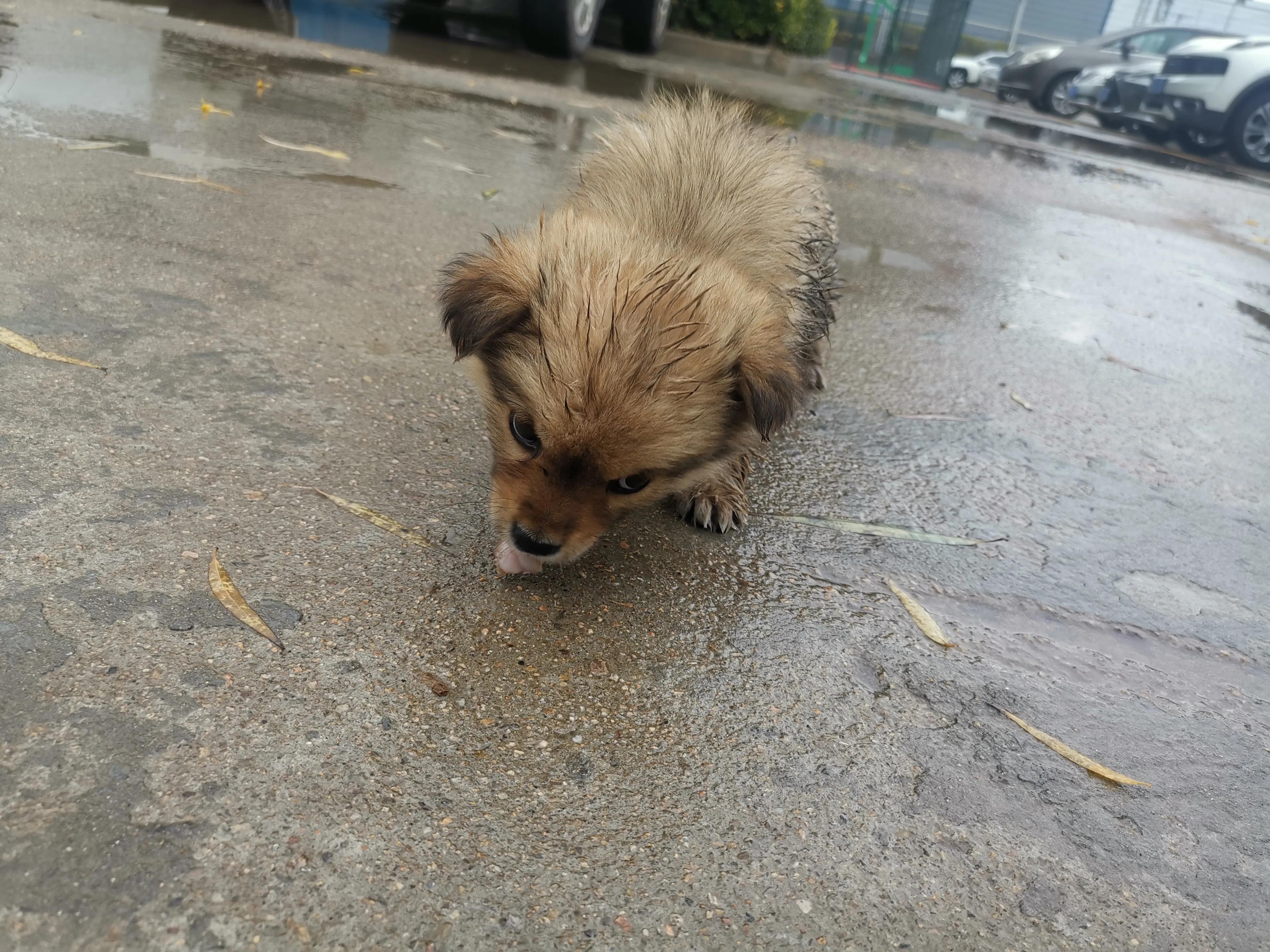 感慨别人忘了自己的生日,时间长了都忘记了自己的生日