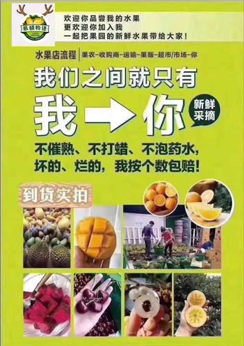 辰颐物语微商怎么加入,辰颐物语代理加盟注册