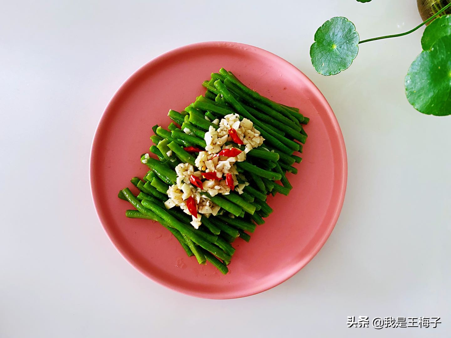 夏天豇豆过多咋处理,豇豆翠绿又脆爽