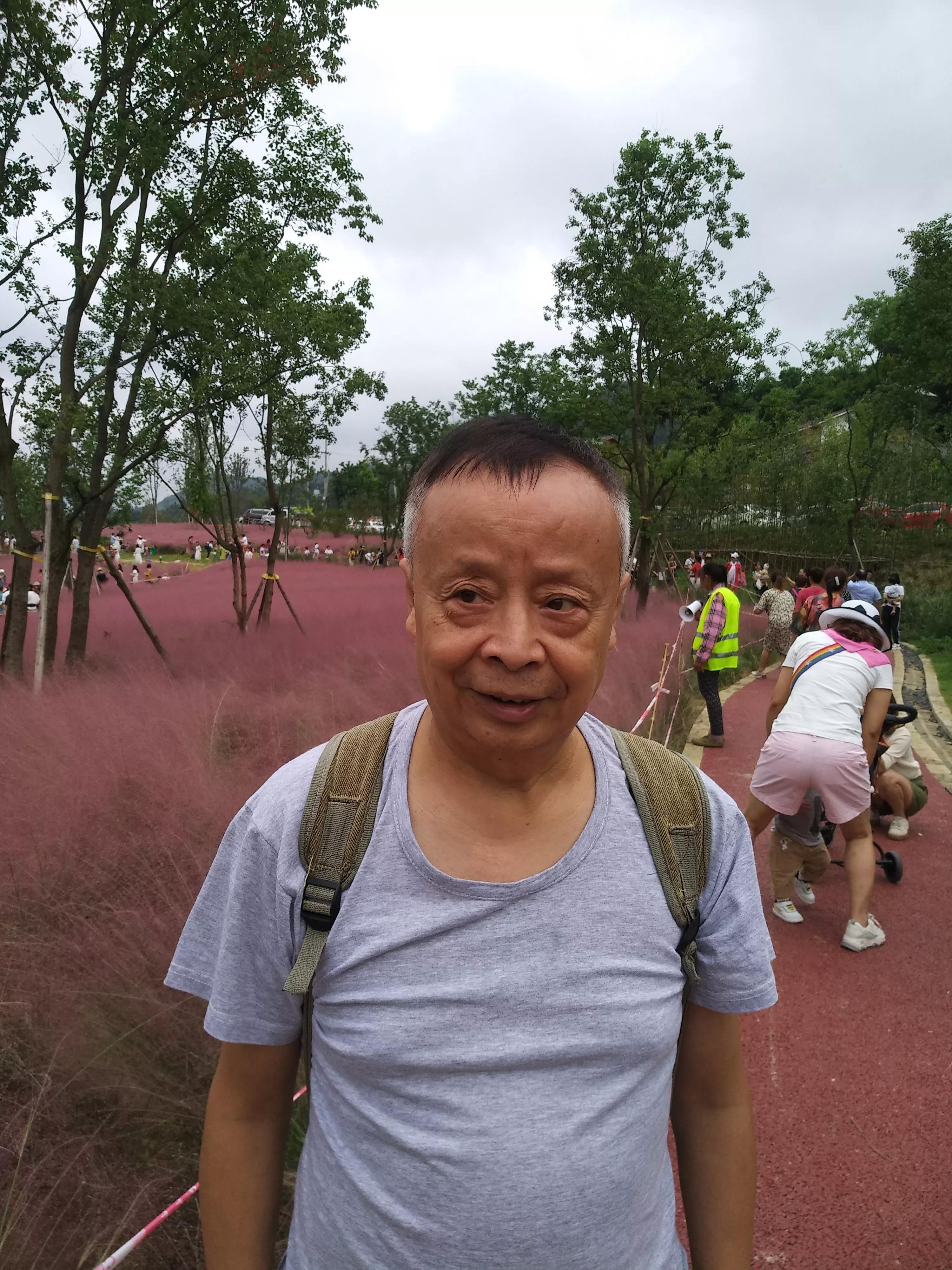 斐然湖和荷塘月色哪个好玩,中梁镇斐然湖公园最近动态