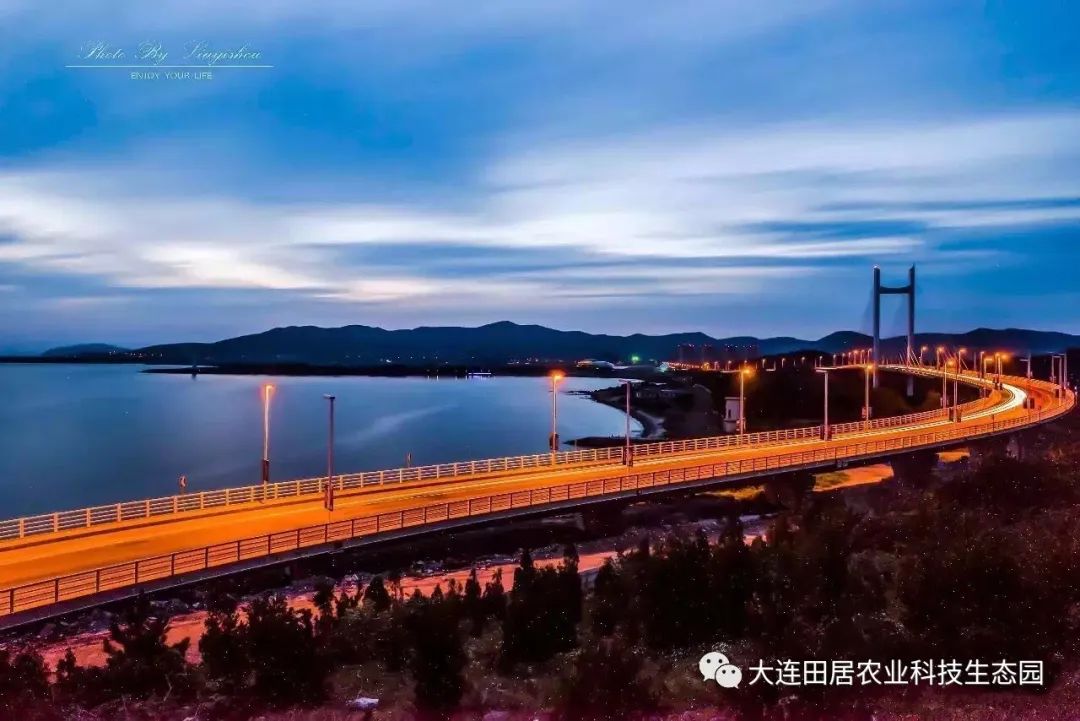 大连樱桃和其他产区樱桃口感区别,山东樱桃和大连樱桃哪个好