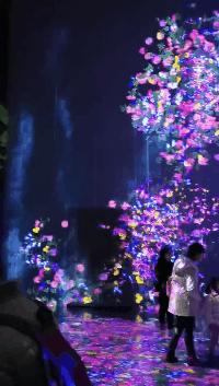 去了北京5次的总结,去了趟日本旅游感悟