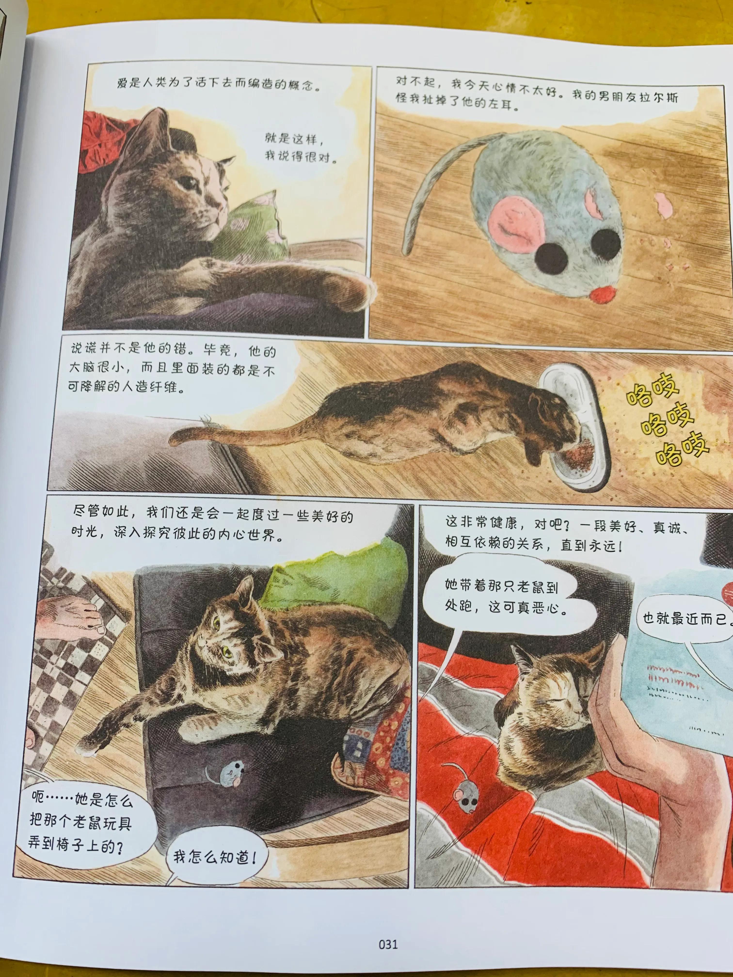 一个关于猫的搞笑漫画,猫咪治愈可爱漫画
