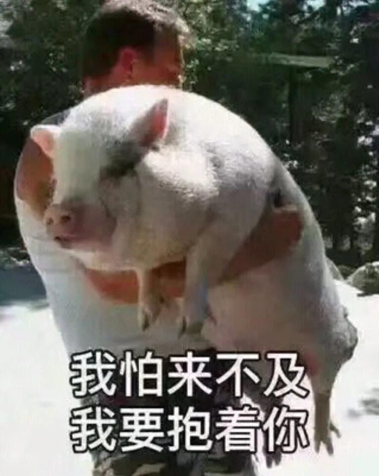 房地产大佬万科养猪,不止卖家具也卖房