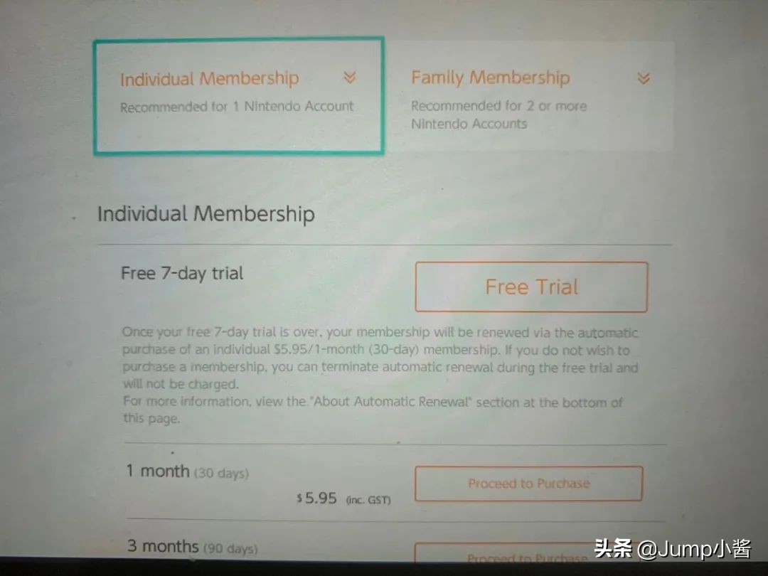 动森推荐买什么,动森现在售价