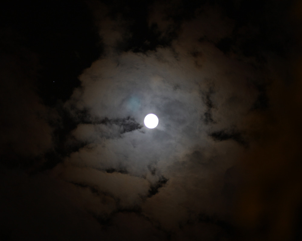 我与父母的一段往事,我和我的父辈四个故事分别简介