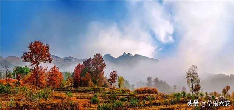 谢谢你来了全集,谢谢你医生